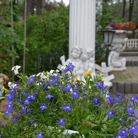 Maciejanka Penzion 3*