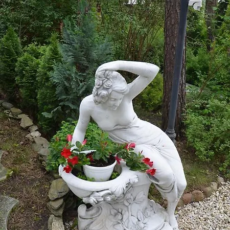 Maciejanka 3*