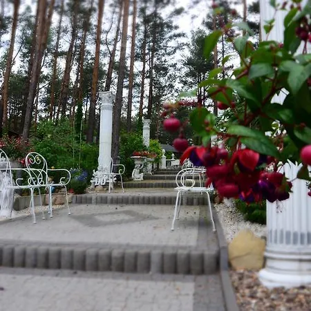 Maciejanka 3* Кобыла-Гура