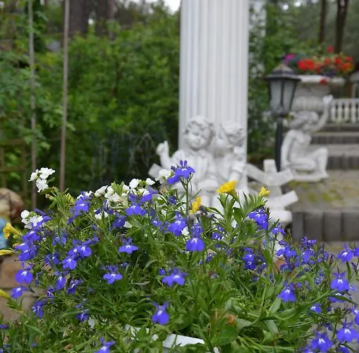 Maciejanka Pensjonat 3*